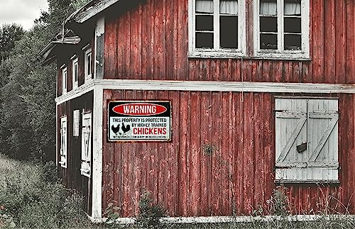 Funny Chicken Sign, Metal Chicken Coop Tin Signs, This property is protected by chickens, Yard Sign Garage Farm Garden Wall Decor Sign Plaque Outdoor for Home Fence 8 X 12 Inches