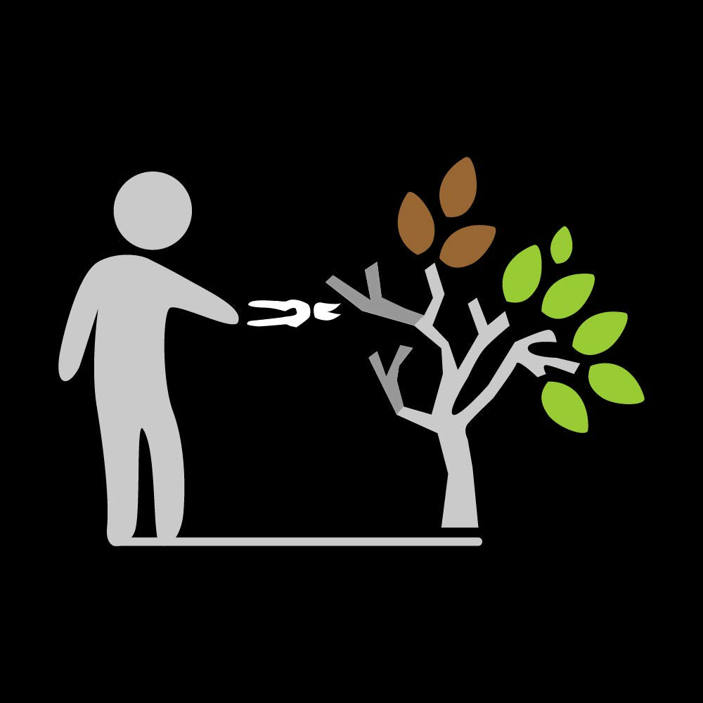 Fiskars Anvil Pruner, 5/8-Inch Cut Capacity Branch Cutter with Power-Lever Design That Provides 2X More Power on Every Cut, Best for Dry, Dead Stems and Small Branches