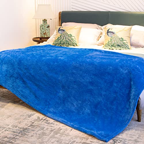 obinsm Warm Blanket Blue Soft Fleece Blankets Throw Blankets for Bed