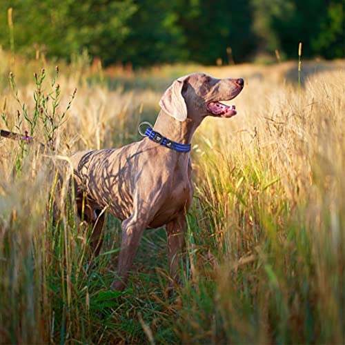 KRUZ PET KZV006-05M Reflective Dog Collar for Small, Medium, Large Dogs, 100% Nylon Adjustable Pet Neck Collar, Heavy Duty O-Ring, Soft, Comfortable Neoprene Padding - Black - Medium