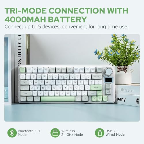 EPOMAKER TH80-X Gasket Mechanical Keyboard, 75% Layout Triple Mode Hot-swap Gaming Keyboard with 4000mAh Battery, LCD Screen, NKRO, RGB for Office/Win/Mac (Green, Epomaker Flamingo Switch)