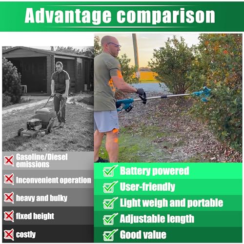Kakyoin 20V String Trimmer,Electric Weed Eater,Cordless,8 inch Circular Blade, Long Blade,2 Batteries and Charger Included (W2D0016)