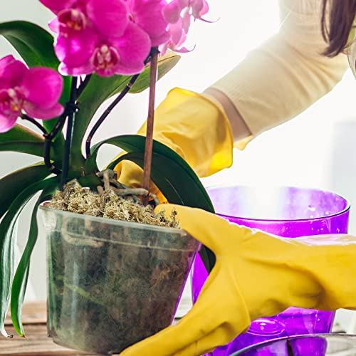 Halatool 3OZ Natural Sphagnum Moss for Plants 2 QT Premium Peat Moss Dried Long Fiber Orchid Moss for Orchid Repotting Carnivorous Succulents Garden Flowers Crafts Terrarium and Reptiles