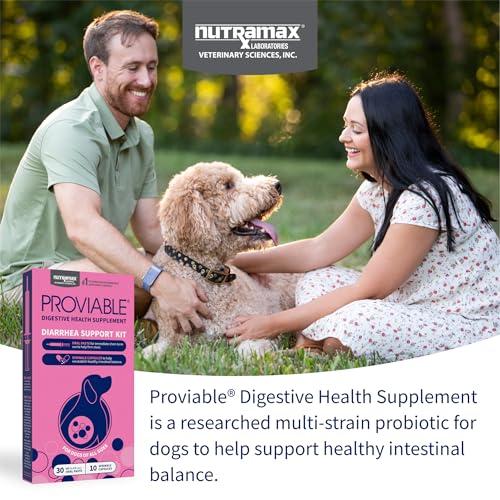 Proviable Digestive Health Supplement Kit with Multi-Strain Probiotics and Prebiotics for Medium to Large Dogs - with 7 Strains of Bacteria, 30 mL Paste and 10 Capsules