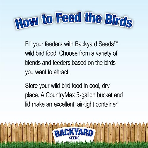 Backyard Seeds Safflower Bird Seed for Cardinals (10 Pounds)