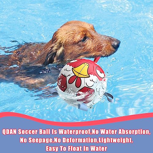 QDAN Dog Toys Soccer Ball with Straps - Durable Dog Balls for Extra Small Dogs, Beach Pool Dog Water Toy, Chicken Dog Toy, Puppy Dog Birthday Gifts, Herding Balls for Dog (5 Inch)