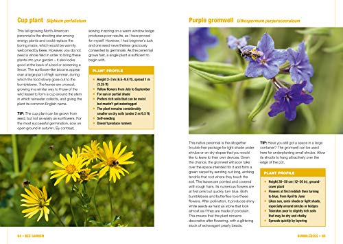 Bee Garden: Nurture your bee population. Select and grow the right flowers. Learn about wild bees of all kinds. Enjoy a garden full of life and color. ... know in one concise manual (Concise Manuals)