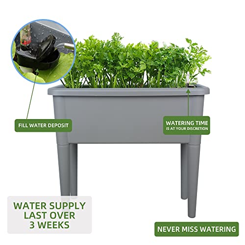 Dexceder 13.2 Gallon Self Watering Raised Garden Bed with Ventilation Transparent Lid Greenhouse, Deepen Vegetable Flower Box Planter Pot with Removeble Legs & Water Level Indicator (Deep Gray)