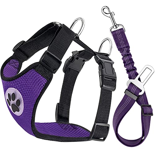 Lukovee Dog Seat Belt for Car, Adjustable Dog Car Harness for Large Medium Small Dogs, Soft Padded & Breathable Mesh Dog Seatbelt with Car Vehicle Connector Strap (Rose Red,Large)