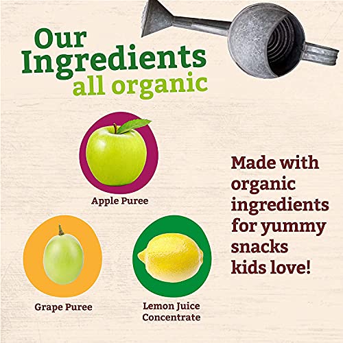 Peter Rabbit Organics Puree Fruit Apple Grape, 4 oz (Pack of 2)