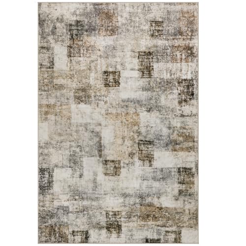 Area Rug Living Room Rugs: 3x5 Soft Modern Abstract Fluffy Rug with Non-Slip Backing, Washable Indoor Plush Throw Rug Small Accent Carpet for Bedroom Dining Room Nursery Home Office - Beige/Gray