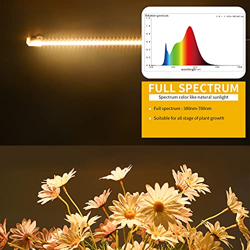 RWNTAO One Strip Growing lamp 2-Pack, Full Spectrum LED Grow Light Strips for Indoor Plants with Auto ON/Off Timer & 4 Dimmable Levels for Green House Hydroponics Succulent (One Head 2 Pack)