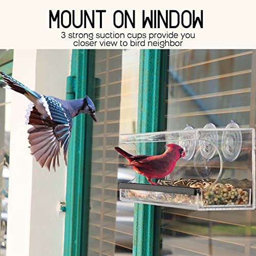 MrCrafts Window Bird Feeder for Outside with Strong Suction Cups, Fits for Cardinals, Finches, Chickadees etc