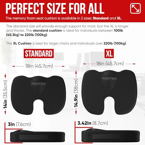 FORTEM Chair Cushion, Seat Cushion for Office, Lumbar Support for Chair, Back Support Memory Foam Pillow Washable Cover, XL (Black, Mesh)