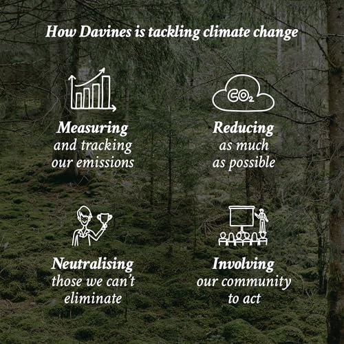 Davines Nounou Conditioner, 2.64 fl. oz.