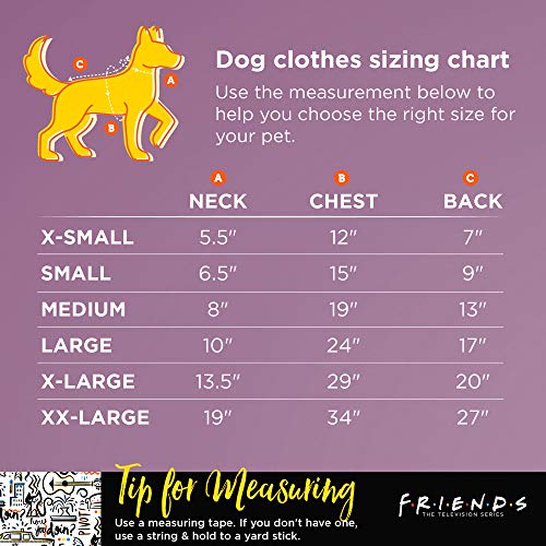 Friends the TV Show We were On A Break Dog T Shirt in Grey | Soft Dog Shirt, Machine Washable Pull-Over Dog Tshirt, Light Weight & Semi-Stretch | Size X-Small for All Small Dogs and Puppies