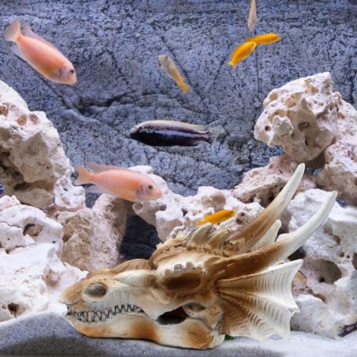 DUZFOREI Reptile Hideouts Terrarium Decor, Aquarium and Fish Tank Decorations Fish Tank Accessories Reptiles Hideout Habitat Aquarium Decor (Dragon Imitation Skull Model)