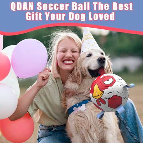 QDAN Dog Toys Soccer Ball with Straps - Durable Dog Balls for Extra Small Dogs, Beach Pool Dog Water Toy, Chicken Dog Toy, Puppy Dog Birthday Gifts, Herding Balls for Dog (5 Inch)