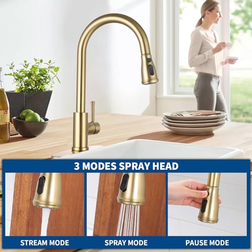 GUUKAR Gold Kitchen Faucet with Pull Down Sprayer, Modern Brushed Gold Single Handle Kitchen Sink Faucet with Deck Plate