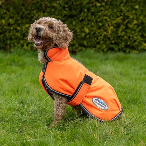 WeatherBeeta ComFiTec Reflective Parka 300D Deluxe Dog Coat, Yellow, 32"