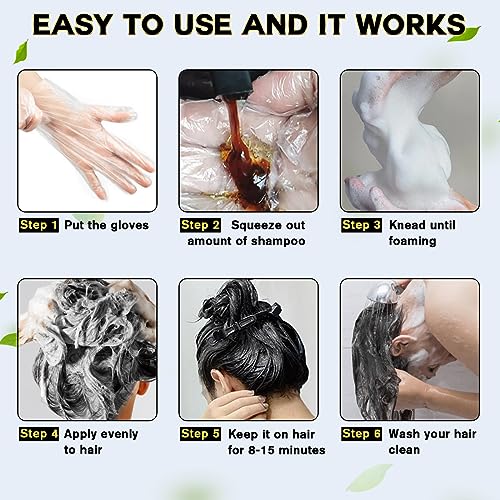 IIIMEIDU Hair Dye Shampoo 3 in 1 for Gray Hair, Herbal Ingredients Shampoo Black Hair Dye for Women Men, Grey Coverage Shampoo 500ml (Black)