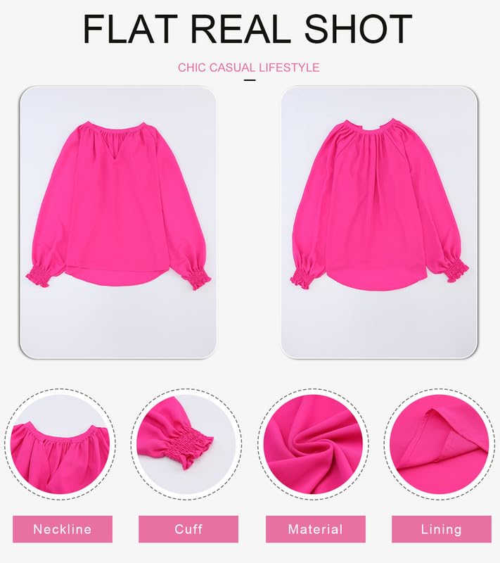 SHEWIN Womens Casual Spring Summer V Neck Long Sleeve Chiffon Blouses Shirts Loose Back Pleated Flowy Tunic Tops for Women 2024,US 8-10(M),Light Purple