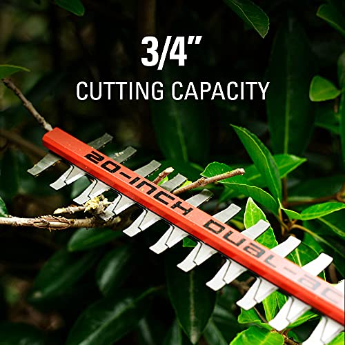 Greenworks Pro 80V 20" Cordless Pole Hedge Trimmer, 2.0Ah Battery and Charger Included