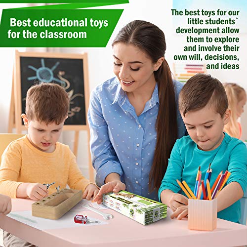 Panda Brothers Montessori Screwdriver Board Set - Wooden Montessori Toys for 4 Year Old Kids and Toddlers, Sensory Bin, Fine Motor Skills, STEM Toys