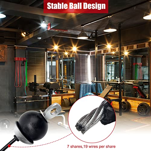 Anglekai Fitness Pulley Cable 79 Inch, Adjustable Home Gym Cable Pulley System Replacement Fitness Cable for Pulley Machine Accessories, Thick 5mm Heavy Duty Pulley Cable for Home Gym(79in)