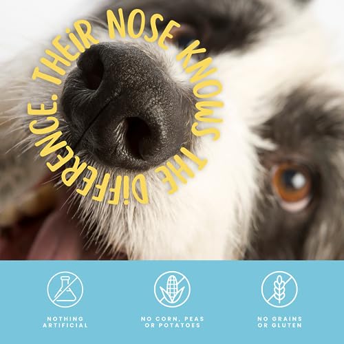 hotspot pets Beef Tendon Chews for Dogs - 8 Inch All Natural, Free-Range, Grass-Fed Premium USDA Gambrol Beef Tendon Stick Treats - Made in USA (1 Pound - Pack of 1)