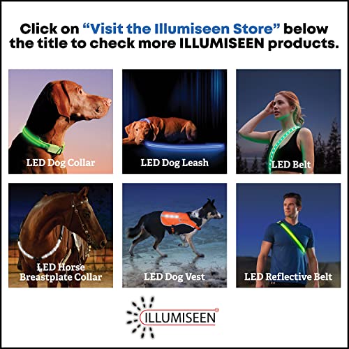 LED Dog Collar, USB Rechargeable, XX-Small (XXS) - 8.6'' - 11.4'', Bright Orange