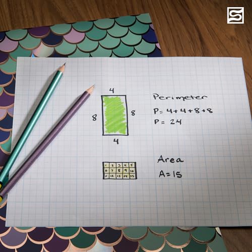 Bienfang Designer Grid Graph Paper Pad, 10x10 Cross Section, 8.5 x 11 Inches, 50 Sheets