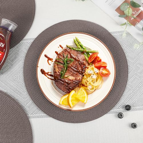BAOFIN Placemats Set of 6, Round Placemats for Dining Table, Washable Woven Non-Slip Placemats, 15 inch, Brown