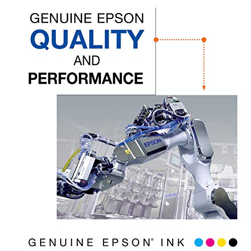 EPSON 220 DURABrite Ultra Ink Standard Capacity Black & Color Cartridge Combo Pack (T220120-BCS) Works with WorkForce WF-2630, WF-2650, WF-2660, WF-2750, WF-2760, Expression XP-320, XP-420, XP-424