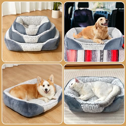 Kimpets Dog Bed Orthopedic Dog Beds for Small Medium Dogs, Rectangle Washable Sleeping Puppy Cat Bed, Pet Sofa Soft Calming Cat Beds Indoor, Anti-Slip Bottom Crate Couch Bed 