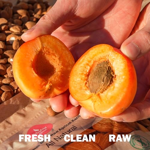 Mighty Apricot USDA Organic Bitter Apricot Kernels(1LB) 16oz, Natural Raw Bitter Apricot Seeds, Vegan, Non-GMO, Gluten Free, Great source of Vitamin B17 and B15, Maximum 3 Kernels/day
