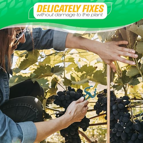 60 Pcs Plant Clips 2 Sizes Garden Clips for Plants Tomato Clips for Climbing Plants Garden Plant Clips Tomato Clips for Climbing Plants Hanging Plant Clips for Vines Gardening Supplies Support Clips