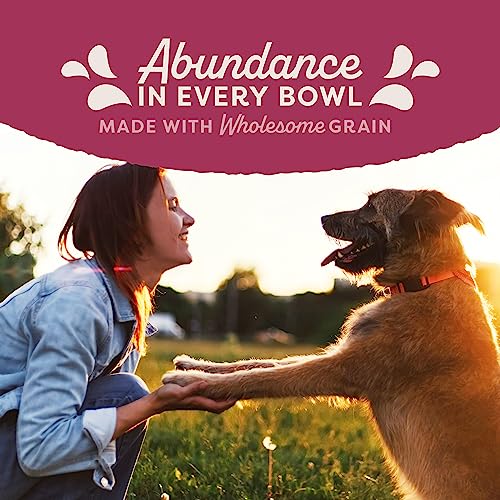 Natural Balance Original Ultra Fat Dogs Wet Dog Food, Chicken & Salmon Recipe in Broth, 13 oz. (Pack of 12)