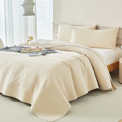 WARMDERN Beige Quilt Sets Queen Size, Cooling Summer Quilt for Hot Sleepers, Soft Lightweight Bedding Bedspread Coverlets for All Season(Beige, Queen)