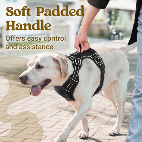 rabbitgoo Dog Harness Small Sized Dog, No Pull Pet Harness with Soft Padded Handle, Adjustable Reflective Vest with 3 Buckles, Easy Walking Harness with 2 Leash Clips, Black, S