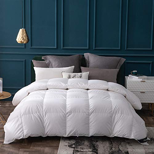 Globon Goose Down Comforter Queen Size All Season Down Duvet Insert,400 Thread Count Ultra Soft Noiseless Shell,800 Fill Power with Corner Tabs,White