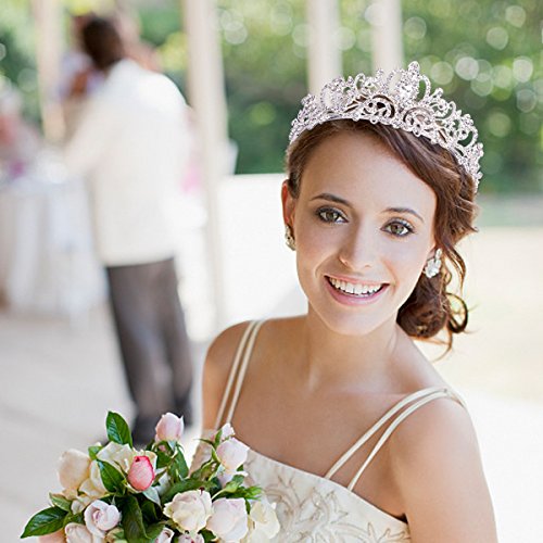 Didder Gold Light Brown Rhinestone Princess Tiaras for Women and Girls Gothic Queen Tiara Halloween Costume Party Wedding Prom Medieval Headpiece