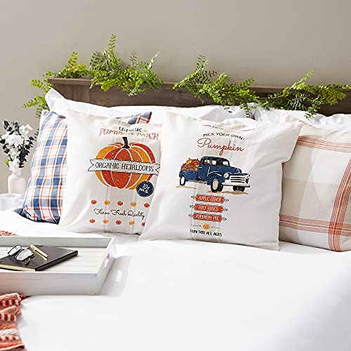 DII Decorative Square Throw Pillow Cushion Cover Set, Hidden Zipper, Cotton & Machine Washable, 18x18, Lemon Bliss, 4 Piece