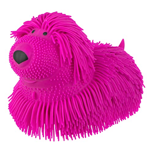 Expressions 1pc Shaggy Dog Squeeze Toy - Squishy Pet Dog - Novelty Fidget Toys, Anxiety Relief Items, Sensory Toys & Stress Relief Dog Toy, Fidgets for Adults