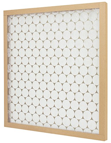 E-Z Flow Air Filter, MERV 4, 12 x 12 x 1-Inch, 12-Pack