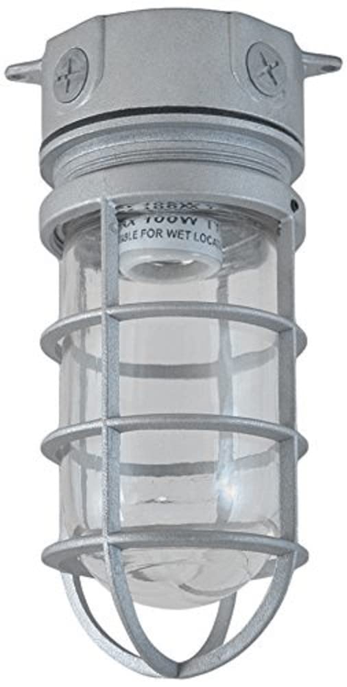 Topaz Electric VFI100W50CG 100W Vaporproof Fixture, 1/2-Inch