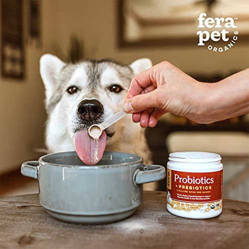 Fera Pets Postbiotics Plus for Dogs– Vet Created Dog Prebiotics & Postbiotics Supplement for Your Pet’s Digestive Health & Immune Support – 120 Scoops