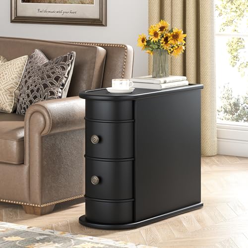 Tribesigns End Table with 2 Drawers, Black Sofa Side Table with Storage, No Assembly Required, Closed Back, Slim Nightstand Vintage Wood Chairside Bedside Narrow Accent Table for Living Room Bedroom