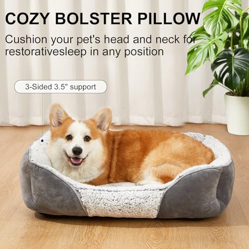 Kimpets Dog Bed Orthopedic Dog Beds for Small Medium Dogs, Rectangle Washable Sleeping Puppy Cat Bed, Pet Sofa Soft Calming Cat Beds Indoor, Anti-Slip Bottom Crate Couch Bed 