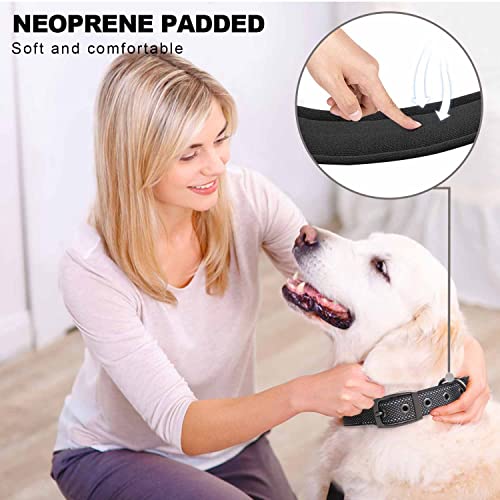 TwoEar Dog Collars for Small Dogs, Heavy Duty Dog Collar with Soft Neoprene Padded, Adjustable Reflective Nylon Dog Collar with Metal Buckle (S, Black)